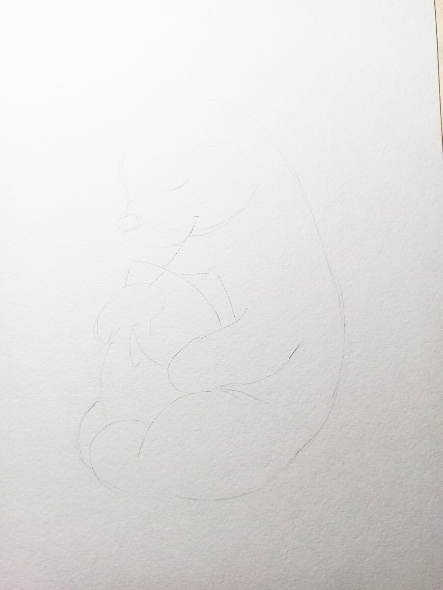 Рисуем лапы в лапах рыбу и морду мишки.