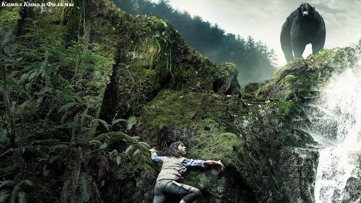 Фото из открытых источников где размещены иллюстрации для общего пользования