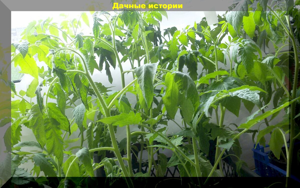 https://vk.com/album-159774511_277159699