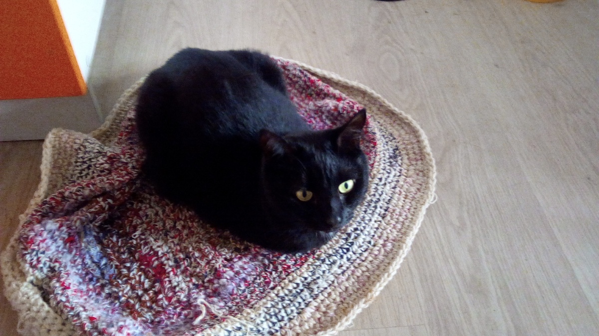 Любимый коврик