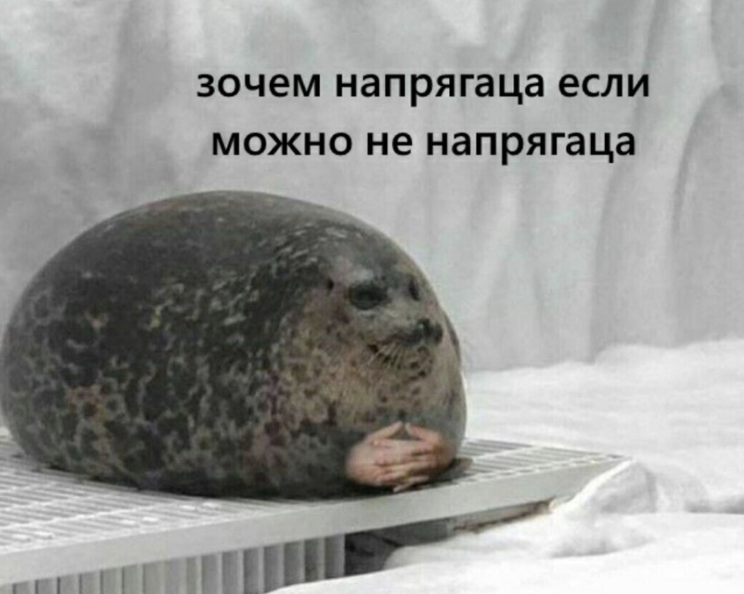 Мысли команды фильма. 
