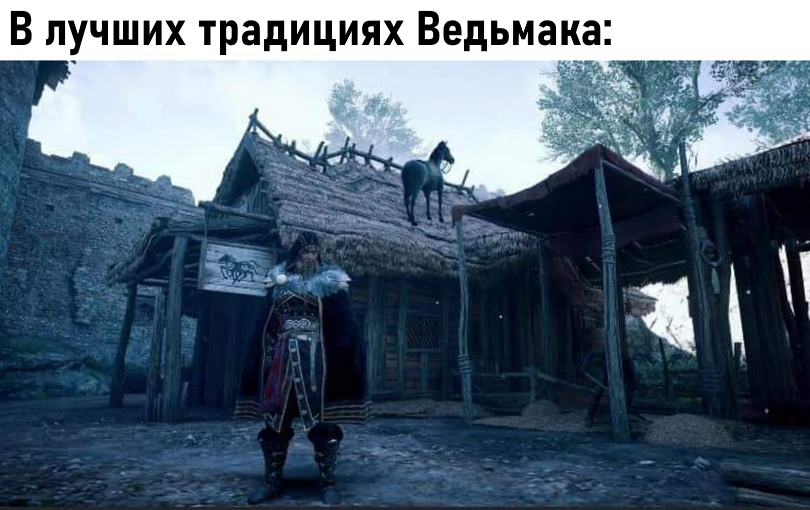 У Плотвы просто училась)