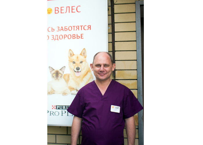 Андрей Столбовой ветеринарный врач, совладелец ветеринарной клиники Астрахань Велес