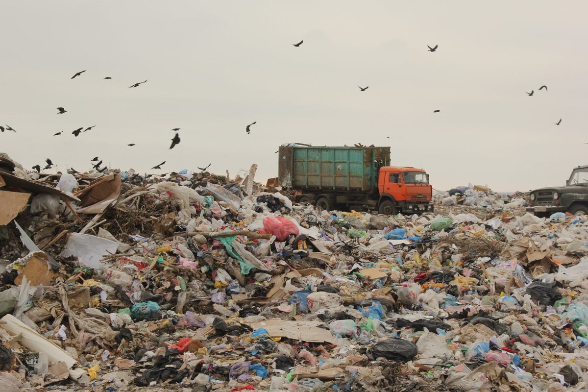 Фото из Интернета.