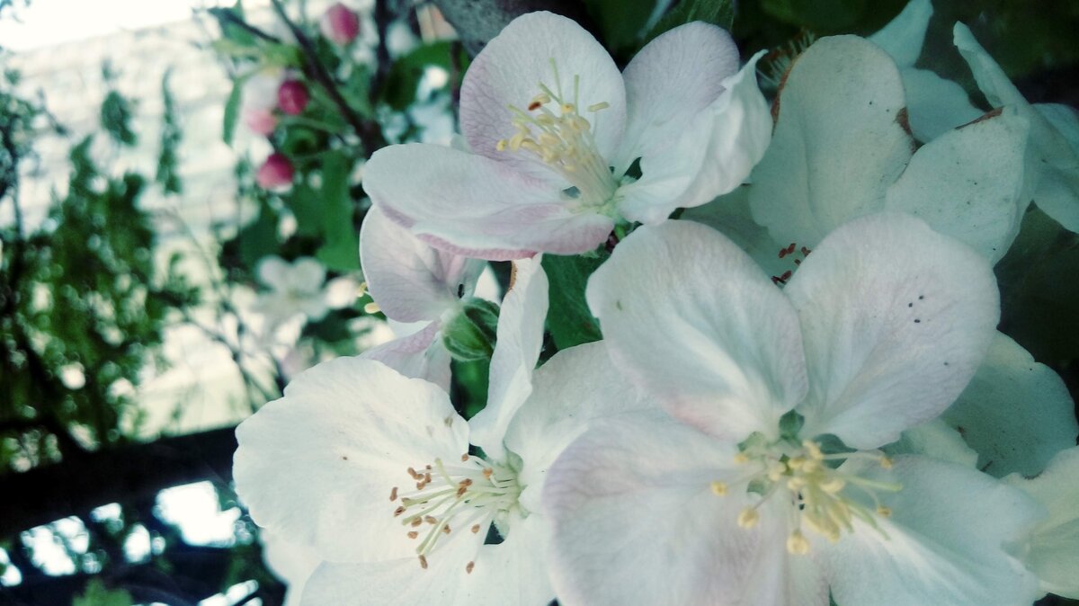 фото из личного архива