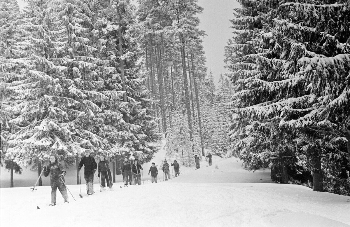 Источник фото: Яндекс картинки