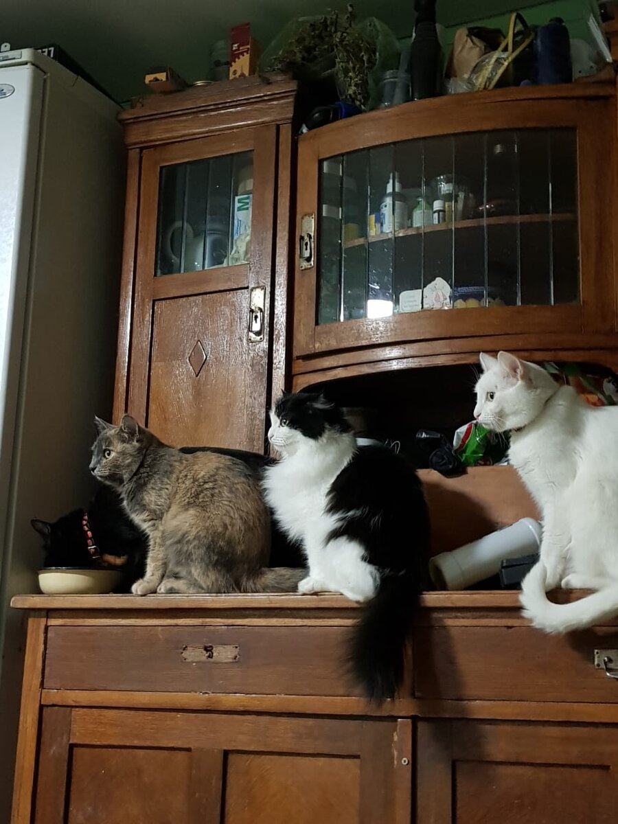 Фото автора. 