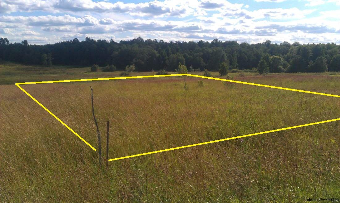 И это еще хороший вариант. Хоть лес есть рядом.