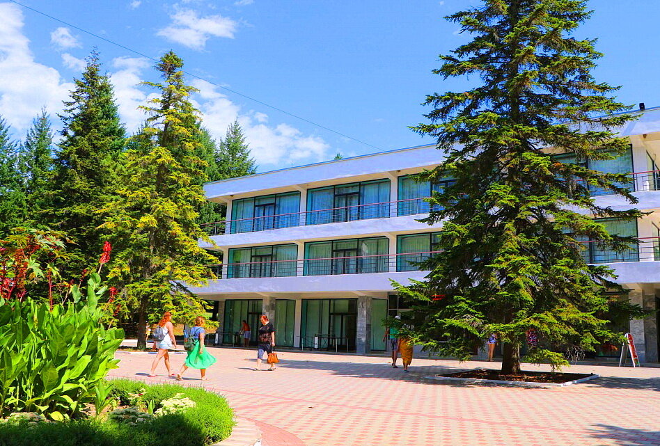 Территория. Корпус, где можно подкрепиться, как в столовой, если питание включено в путевку, так и в кафешке.