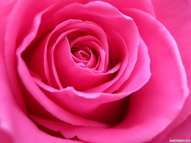 Картинки из интернета