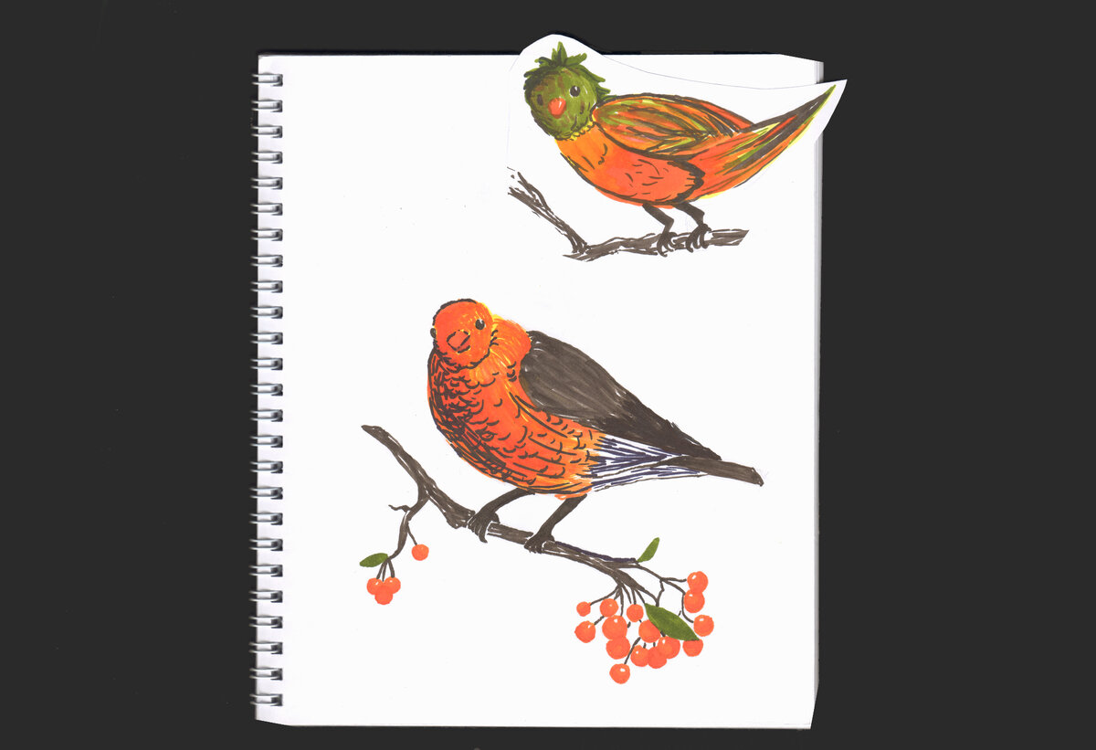 Птички перманентными маркерами