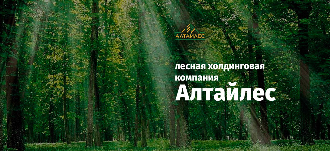 Как настроить процессы отчетности, чтобы всем жилось легче.