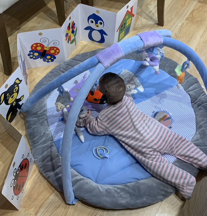 Развивающий коврик и книжка