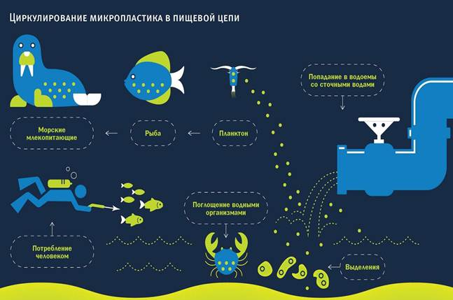 Яндекс. Картинки