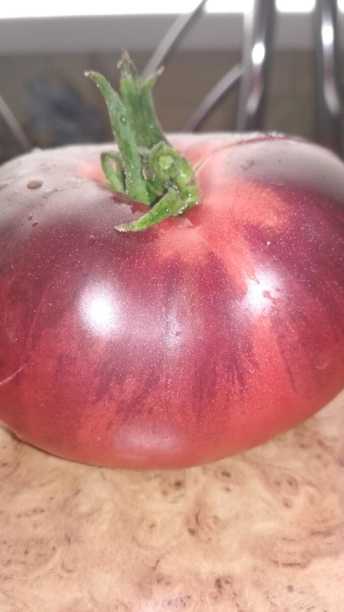 фото моего красавчика ТОМАТ Гари о Сена.