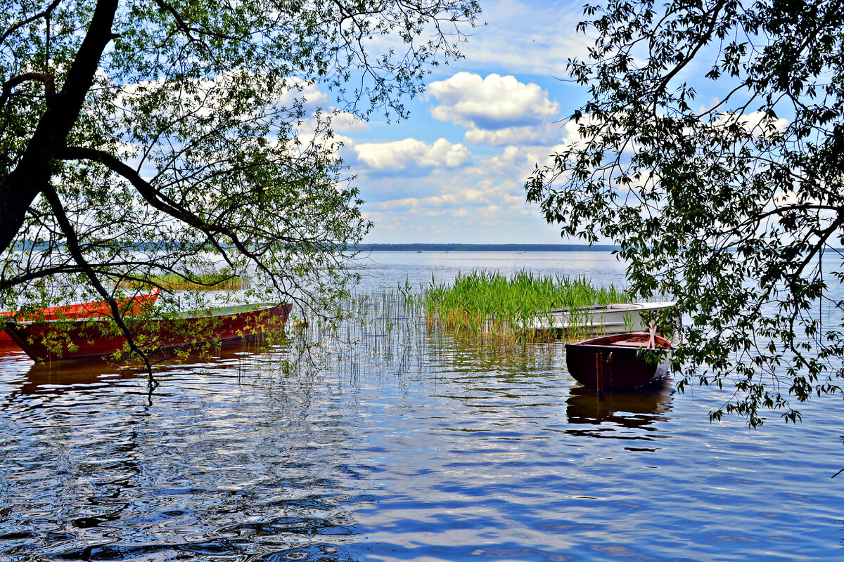 Плещеево озеро - сомнительная замена морю. Чем заменить купание, что  интересного на берегу? | Не галопом по Европам | Дзен