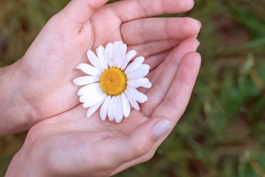pixabay.com