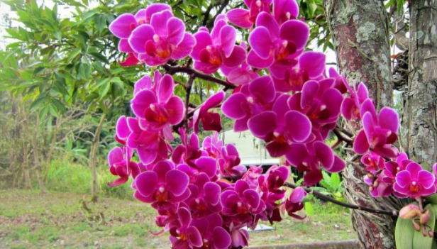 Добавьте описание