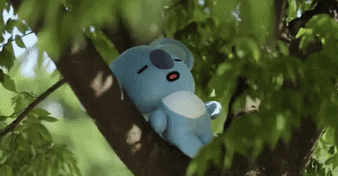 KOYA | BT21