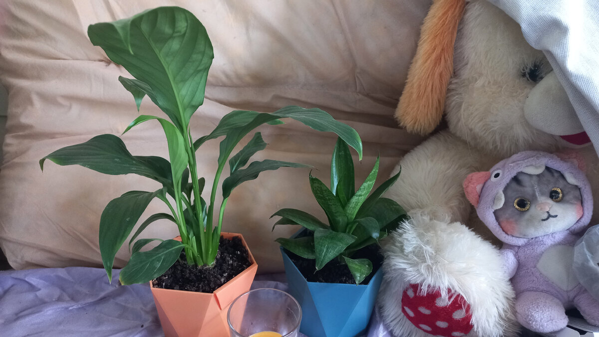 На курорте. Фото автора 