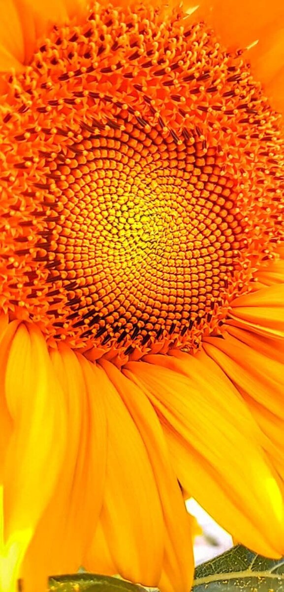 Будьте СЧАСТЛИВЫ и БЛАГОСЛОВЕННЫ!