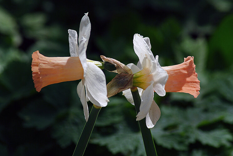 фото из интернета. 