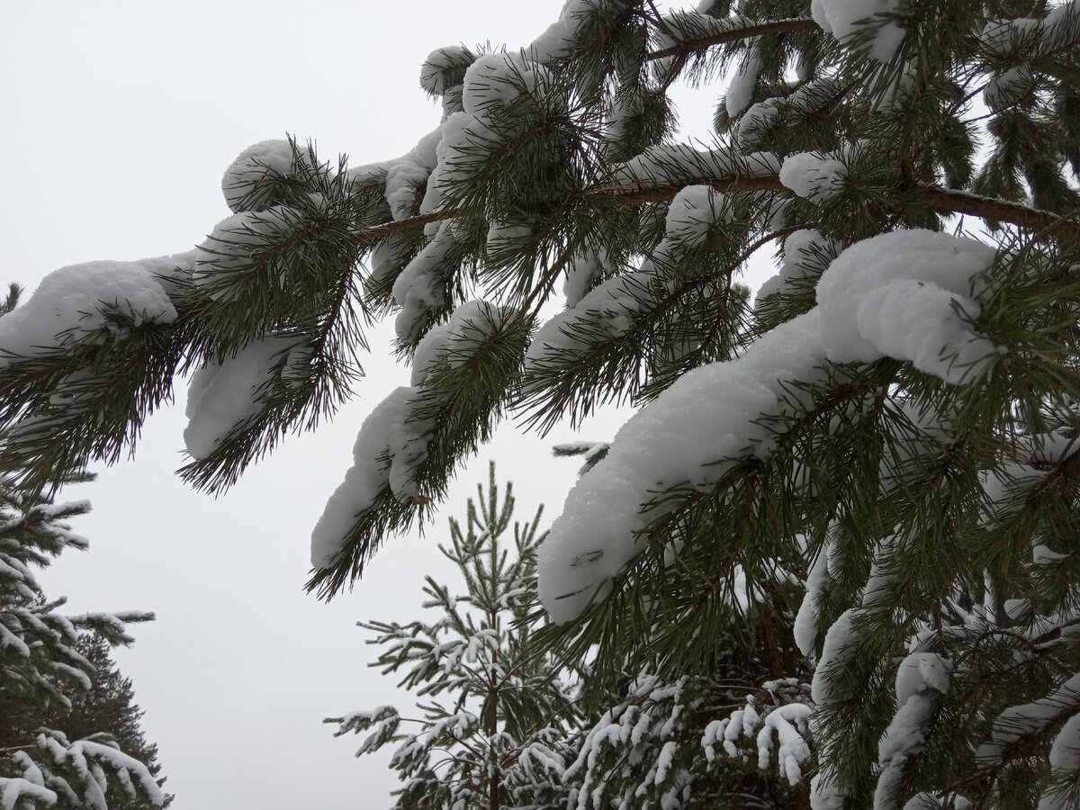 Фото из личного архива автора