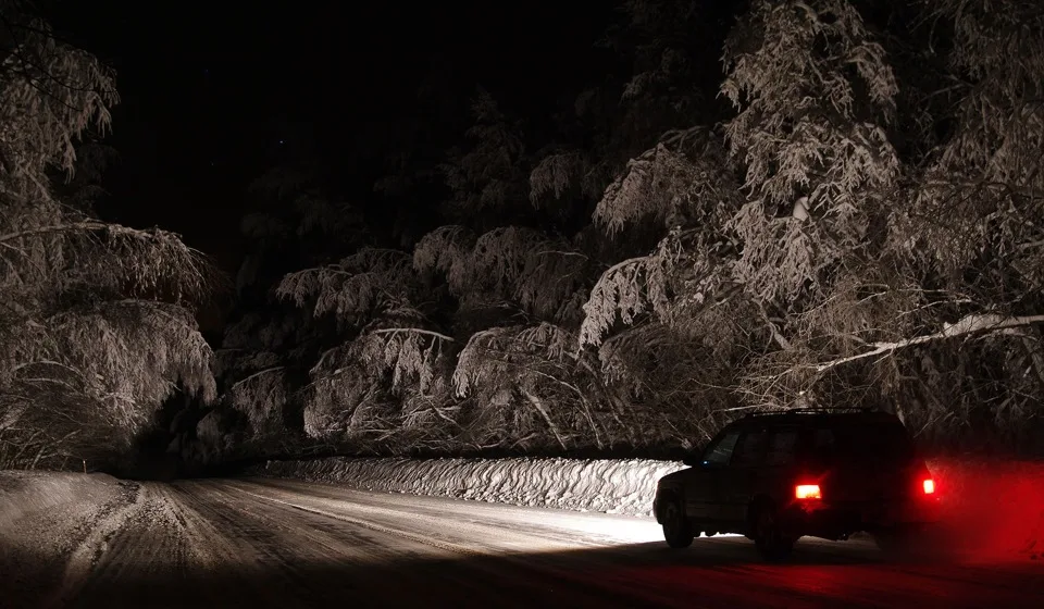 Фото взято с открытых источников.