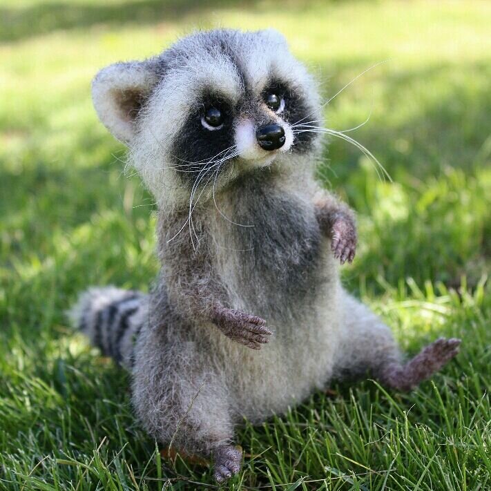 фото из свободных источников