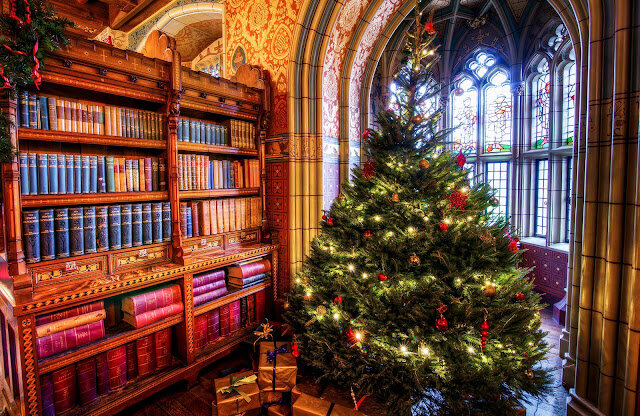 фото Яндекс Картинки