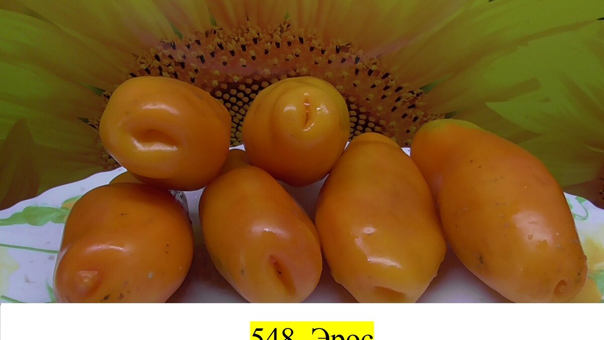 -39