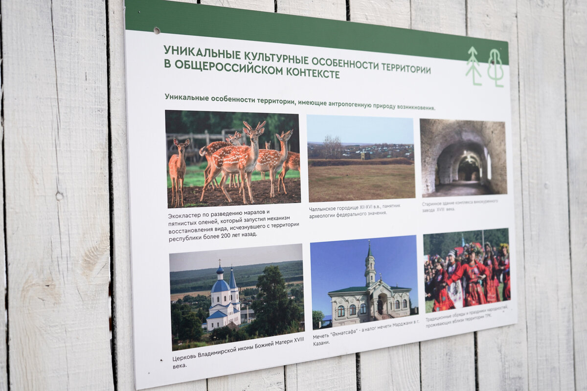 Фото - пресс-служба АНО "ЦРСИиД "БАРС" при копирование фотографии указывайте ссылку на ресурс обязательна.