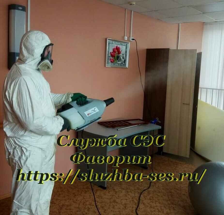 Санитарная служба Фаворит. https://sluzhba-ses.ru/