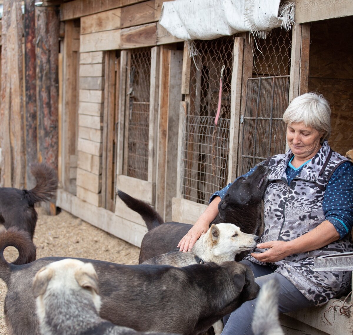 Надя в окружении хвостов
