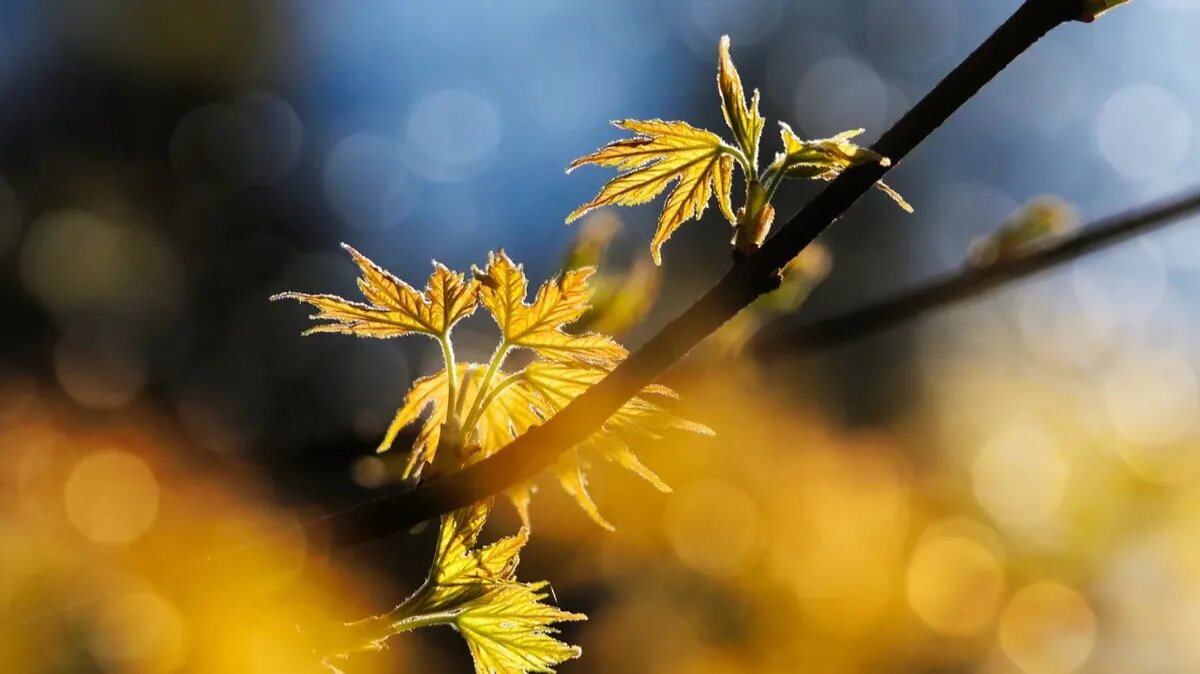 В Радоницу важно помянуть всех усопших. Фото: Pxfuel.com 