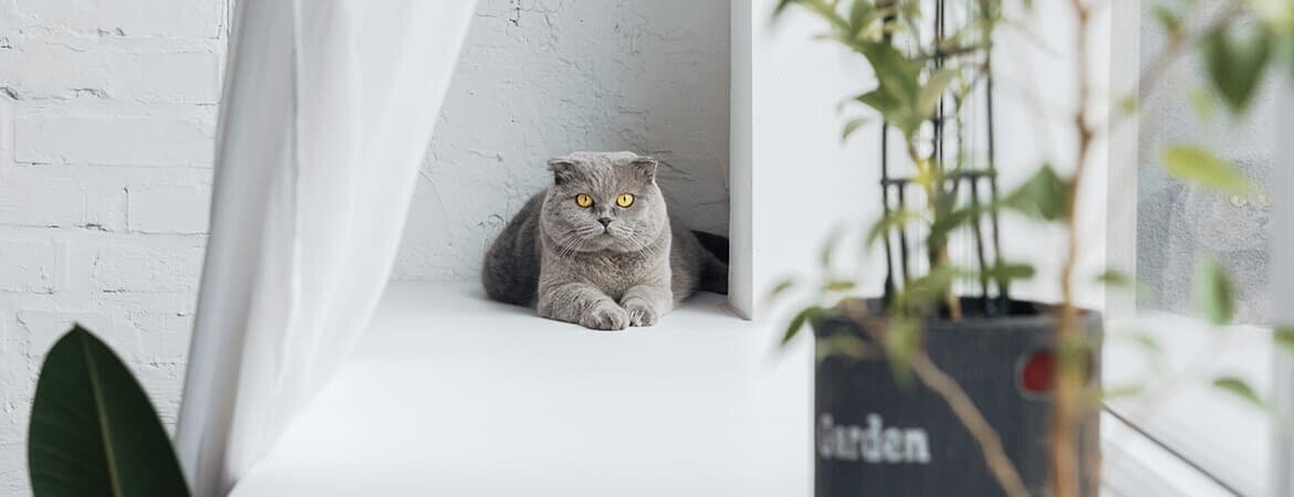 Пластиковый подоконник в квартире