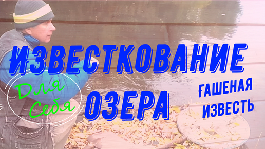 Как разводить известь для побелки погреба, теплицы, деревьев – пошаговая инструкция