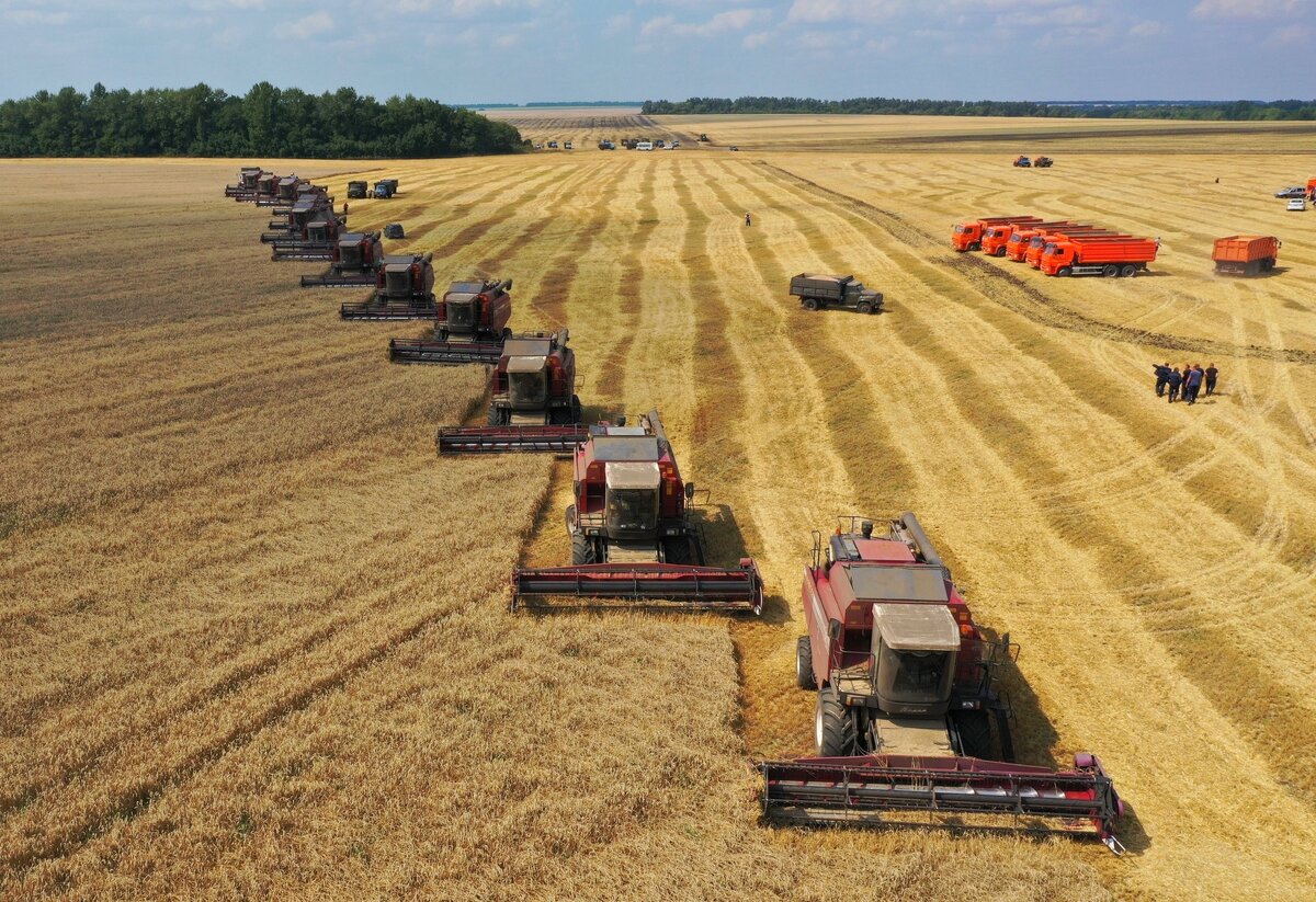 Уборочная кампания в РФ
