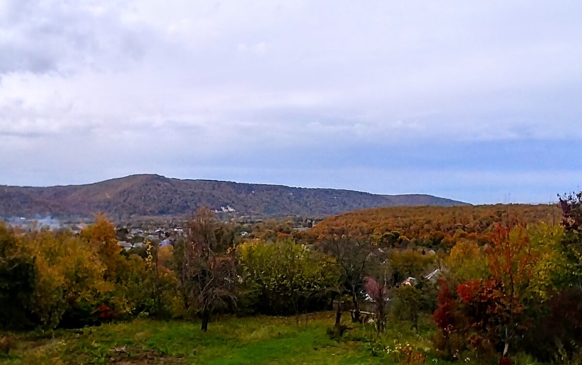 Краски осени. 