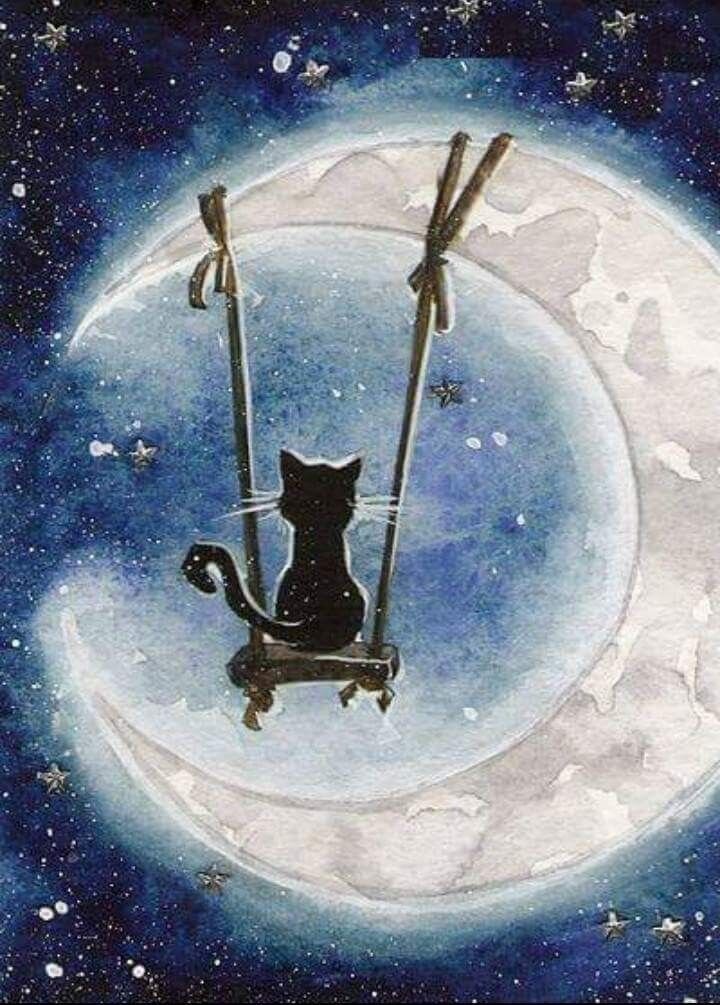 Яндекс.Картинки.