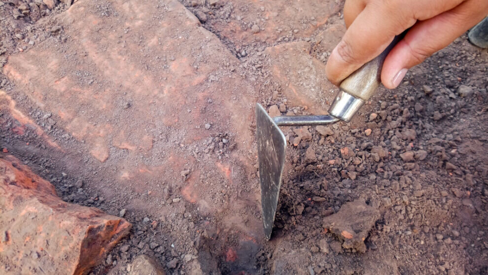    В Чехии фермер нашел на огороде древний золотой пояс