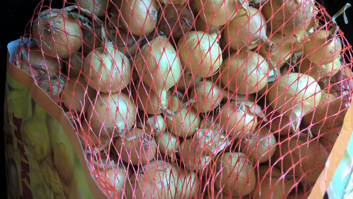 Севок