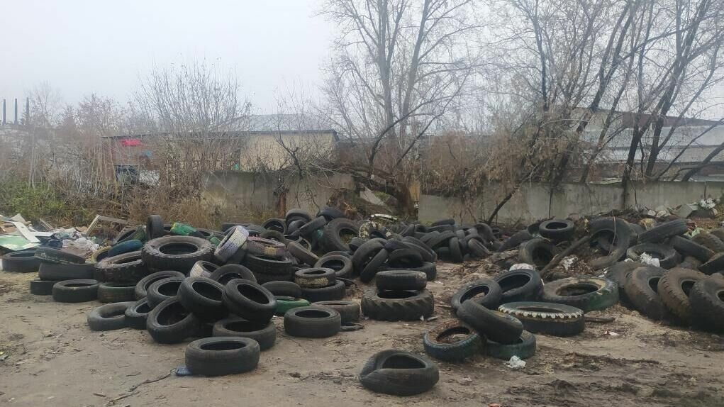     Несанкционированная свалка обнаружена возле Оки в Нижнем Новгороде. Ее появлением заинтересовалась межрайонная природоохранная прокуратура, сообщается на сайте ведомства.