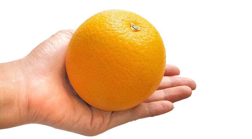 Give orange. Апельсин в руке. Апельсин на ощупь. Чем полезен апельсин. Беременный апельсин.