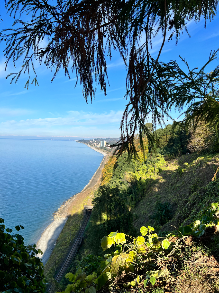 Вид на море из ботанического сада в Батуми