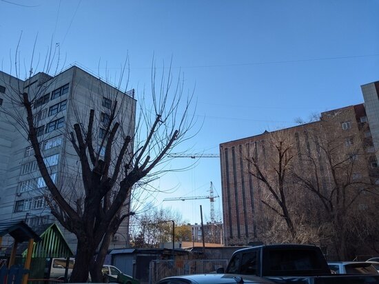     Фото Владислава Пирогова/МК в Красноярске