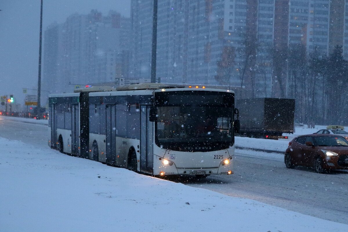 В Чите всех пассажиров в общественном транспорте будут отслеживать |  Калашникова говорит! | Дзен