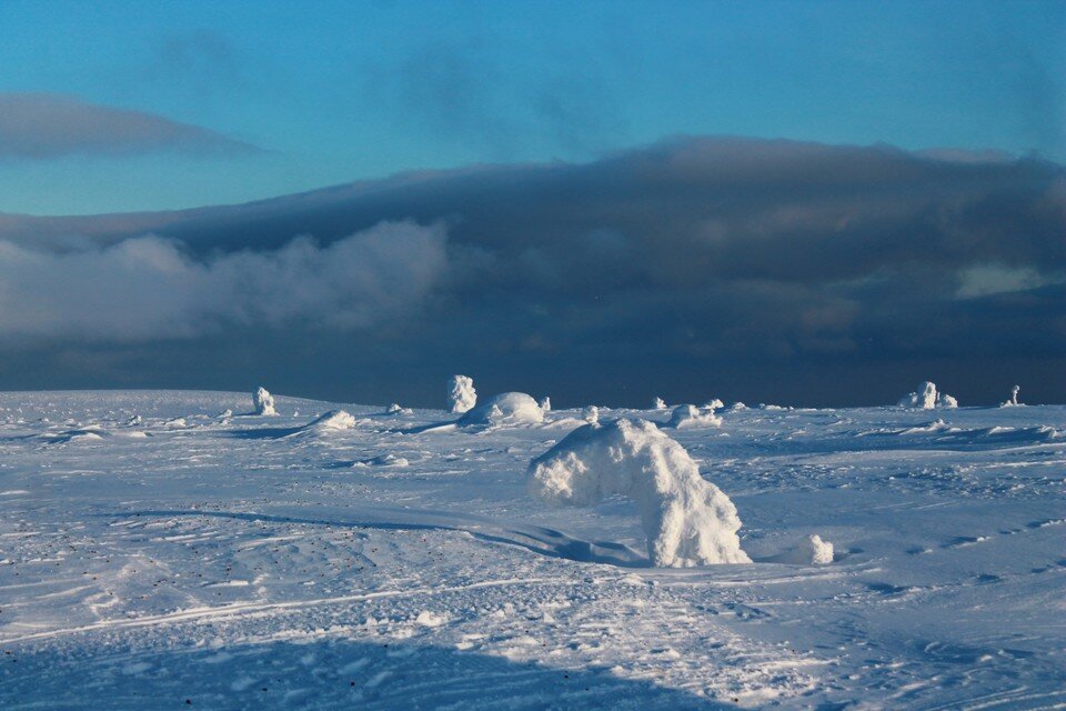     Фото: архив КП