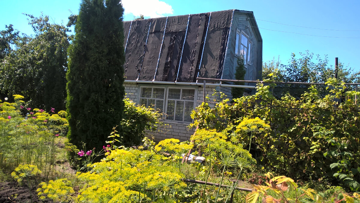 Наш участок при покупке, осень 2017г 