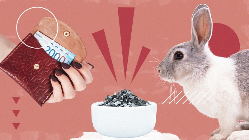 Фото: ИА «Победа26»